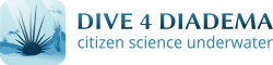 Dive4Diadema Logo